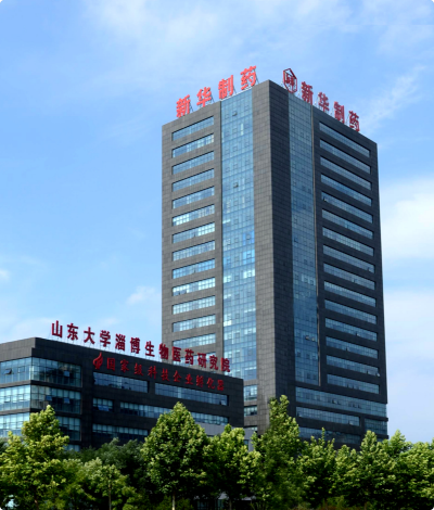 山东新华制药股份有限公司与万象城AWC(中国)股份签订《精益管理信息化技术服务项目》