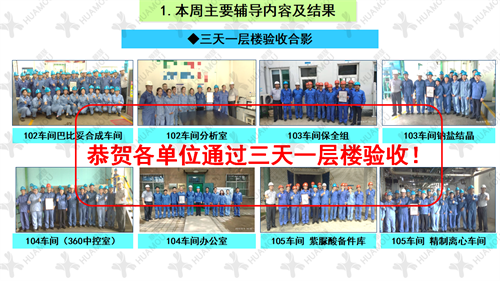 0200160500-三天一层楼辅导总结报告（化学药品原料药制造）_17